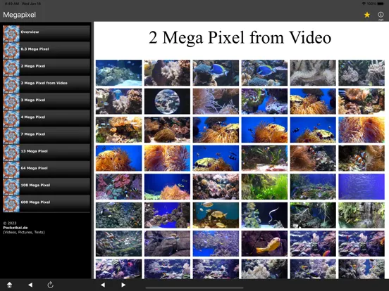 Скриншоты Megapixel iPad 