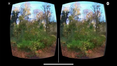 Capturas de pantalla de VR360 Walk in the Park