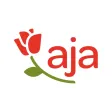 aja Resorts aja Resorts