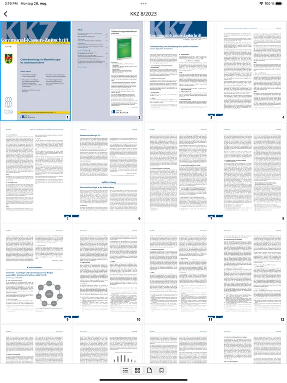 VollstR/Kasse iPad  Screenshots