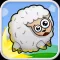 Sheep Cannon !