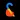 squaredance
