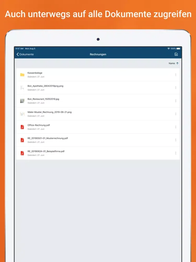 Zrzuty ekranu SWE CLOUD iPad 