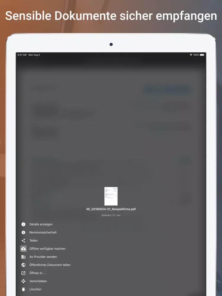 Zrzuty ekranu SWE CLOUD iPad 