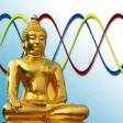 Bio Journal - Your Biorhythm Bio Journal - Your Biorhythm