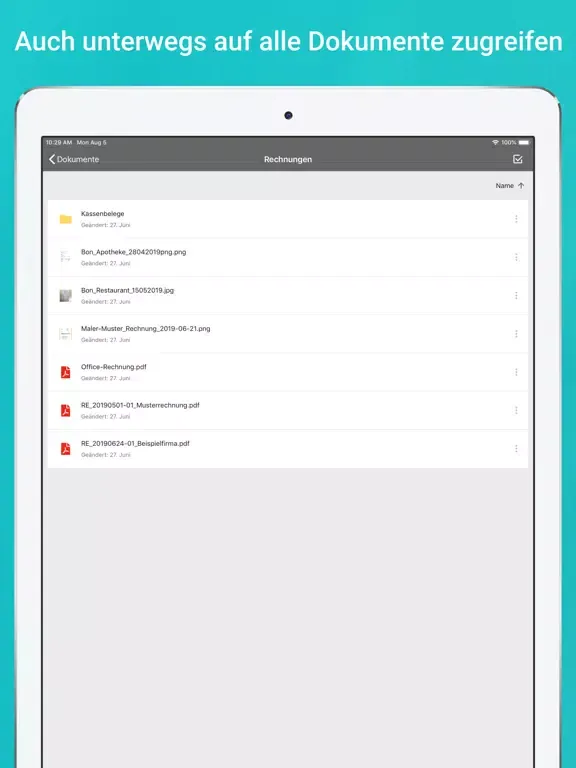 Ảnh chụp màn hình của SWN Doc Manager iPad 