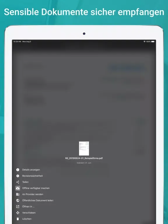 Ảnh chụp màn hình của SWN Doc Manager iPad 