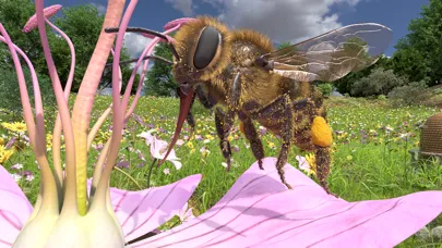 Screenshot di Honigbiene VR