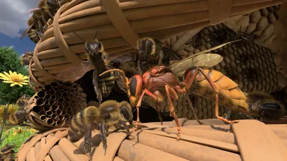 Screenshot di Honigbiene VR
