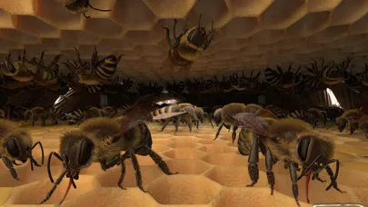 Screenshot di Honigbiene VR