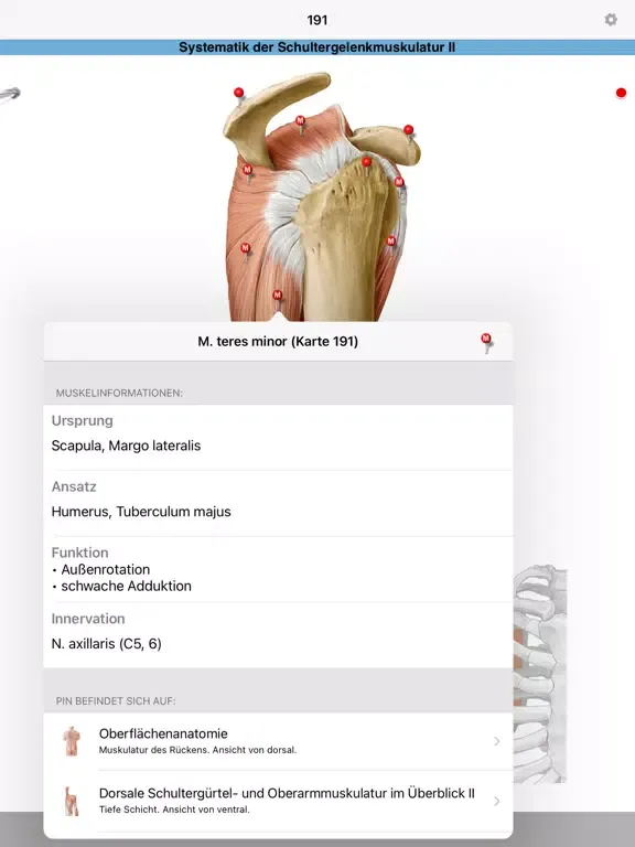 PROMETHEUS - LernKarten iPad  Screenshots