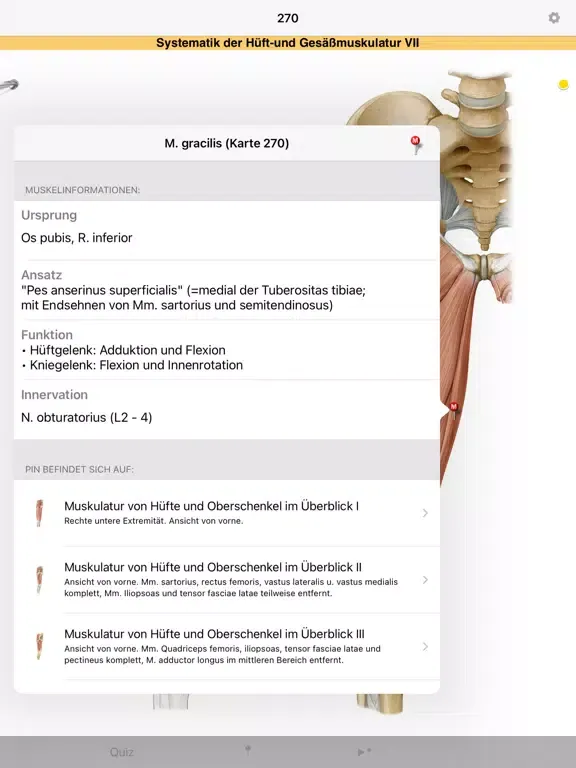 PROMETHEUS - LernKarten iPad  Screenshots