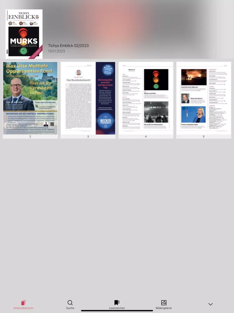 Скриншоты Tichys Einblick Magazin