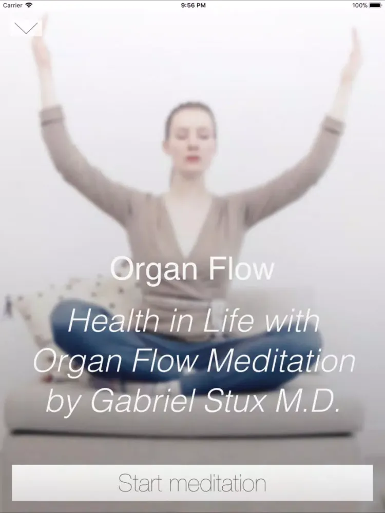 ภาพหน้าจอของ Organ Flow iPad 