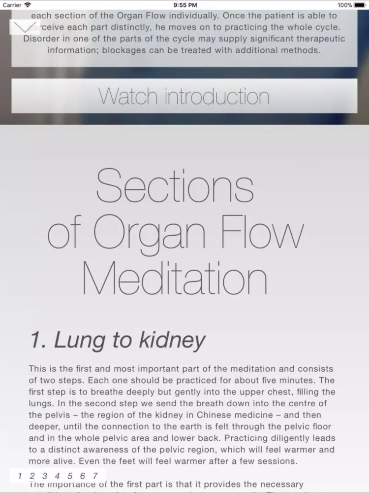 ภาพหน้าจอของ Organ Flow iPad 
