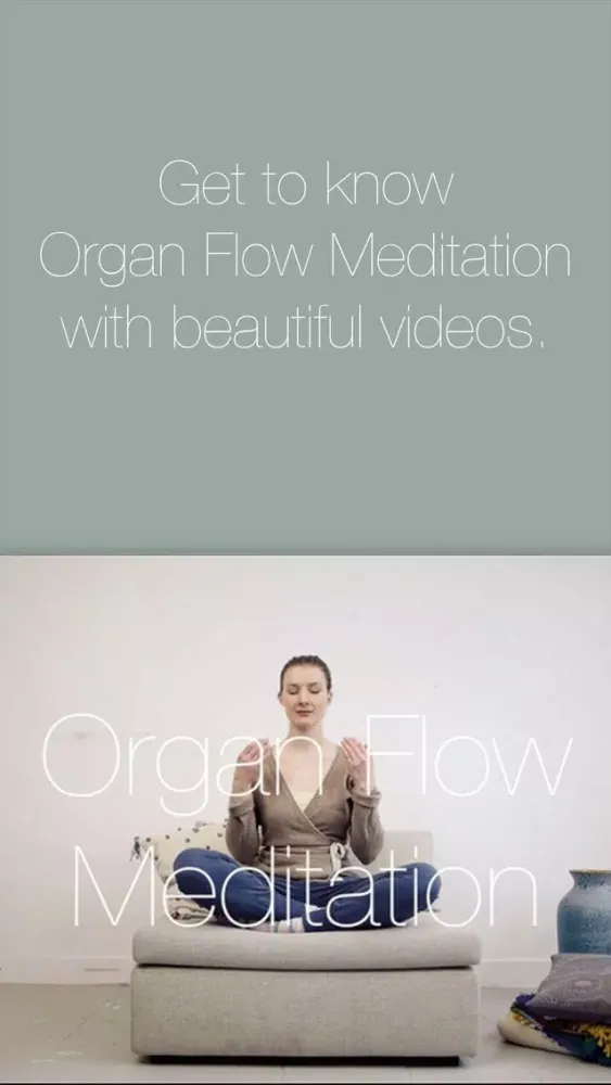 ภาพหน้าจอของ Organ Flow