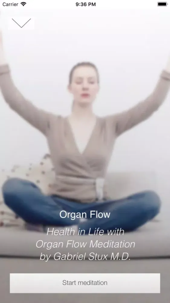 ภาพหน้าจอของ Organ Flow