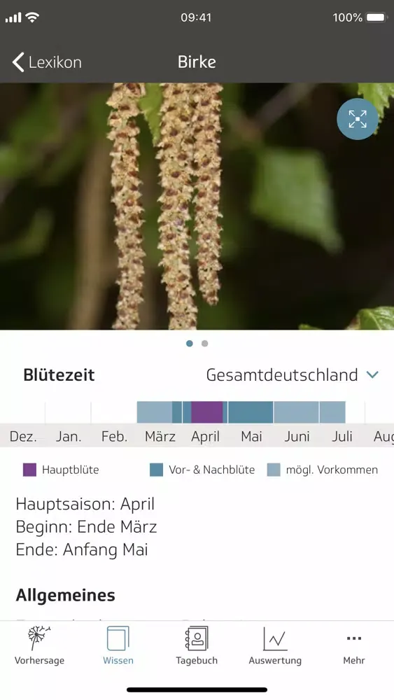 Husteblume 스크린샷