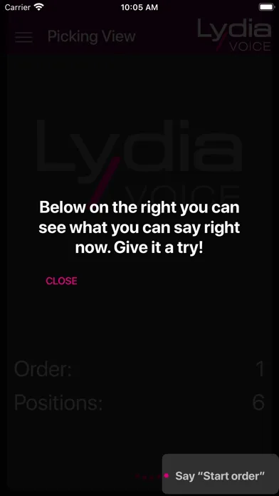 Lydia Voice Screenshots