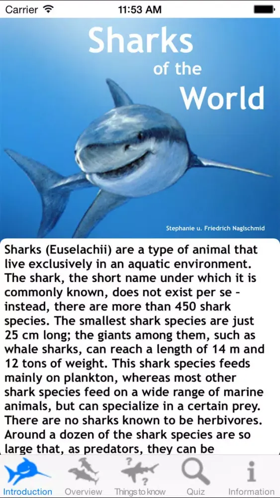 Tangkapan layar Sharks of the World