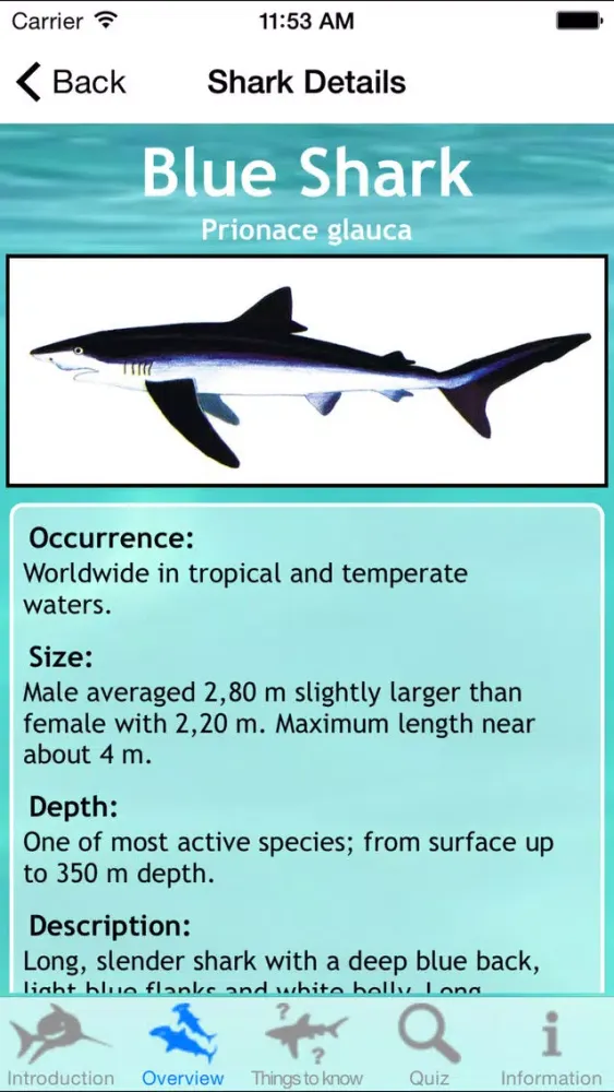 Tangkapan layar Sharks of the World