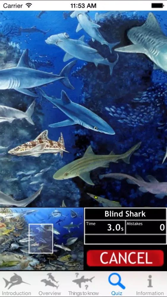 Tangkapan layar Sharks of the World