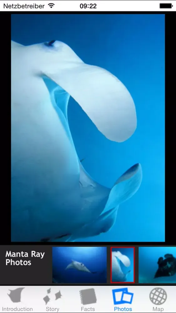 Ảnh chụp màn hình của Manta Rays