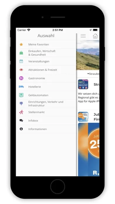 Screenshot di Straubing Regional