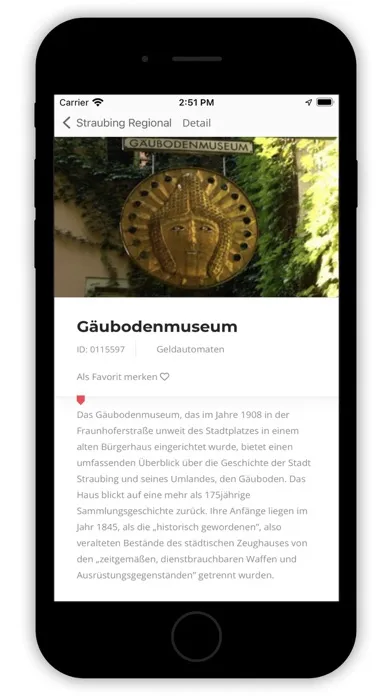 Screenshot di Straubing Regional