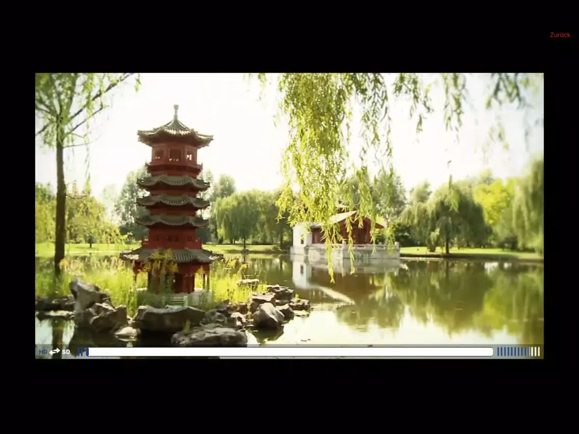 Qi Gong Tutorial iPad  স্ক্রিনশট