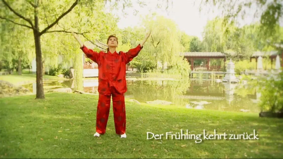 Qi Gong Tutorial স্ক্রিনশট