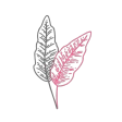 Herbstblatt