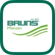 Bruns Plants