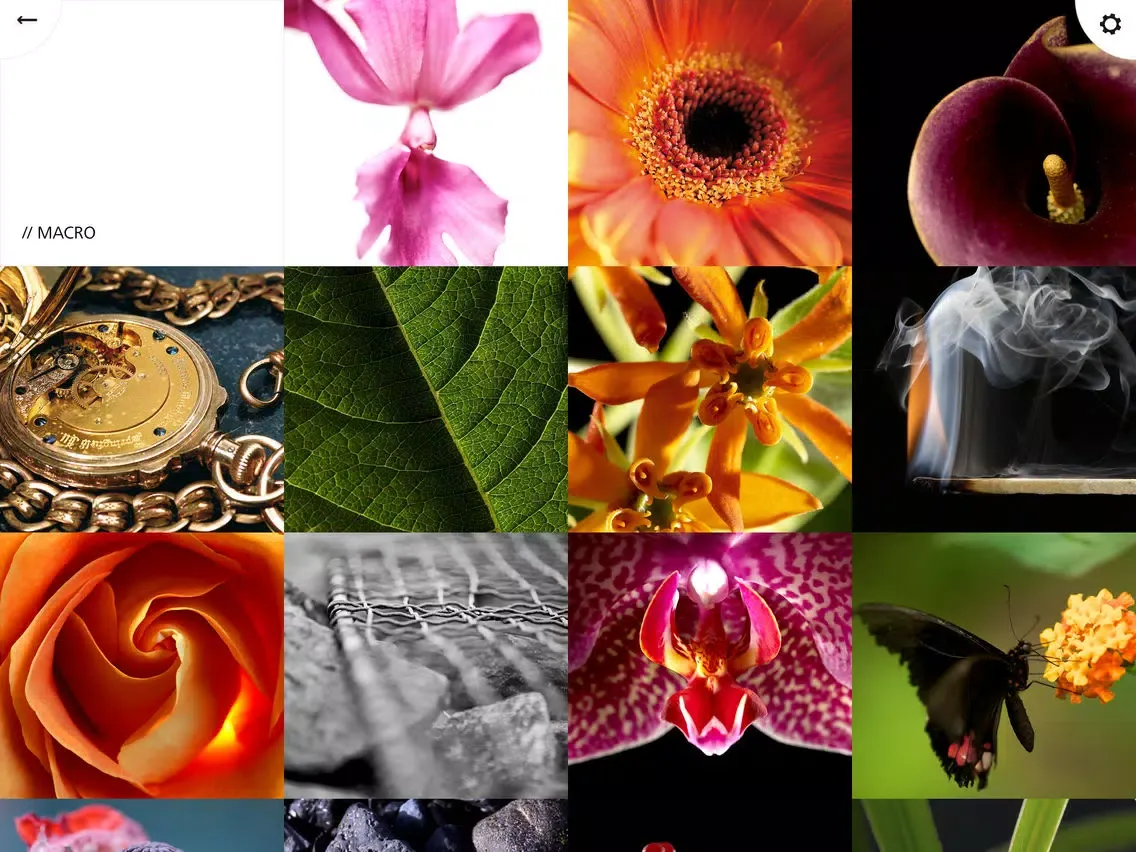 Скриншоты Lens Catalog iPad 