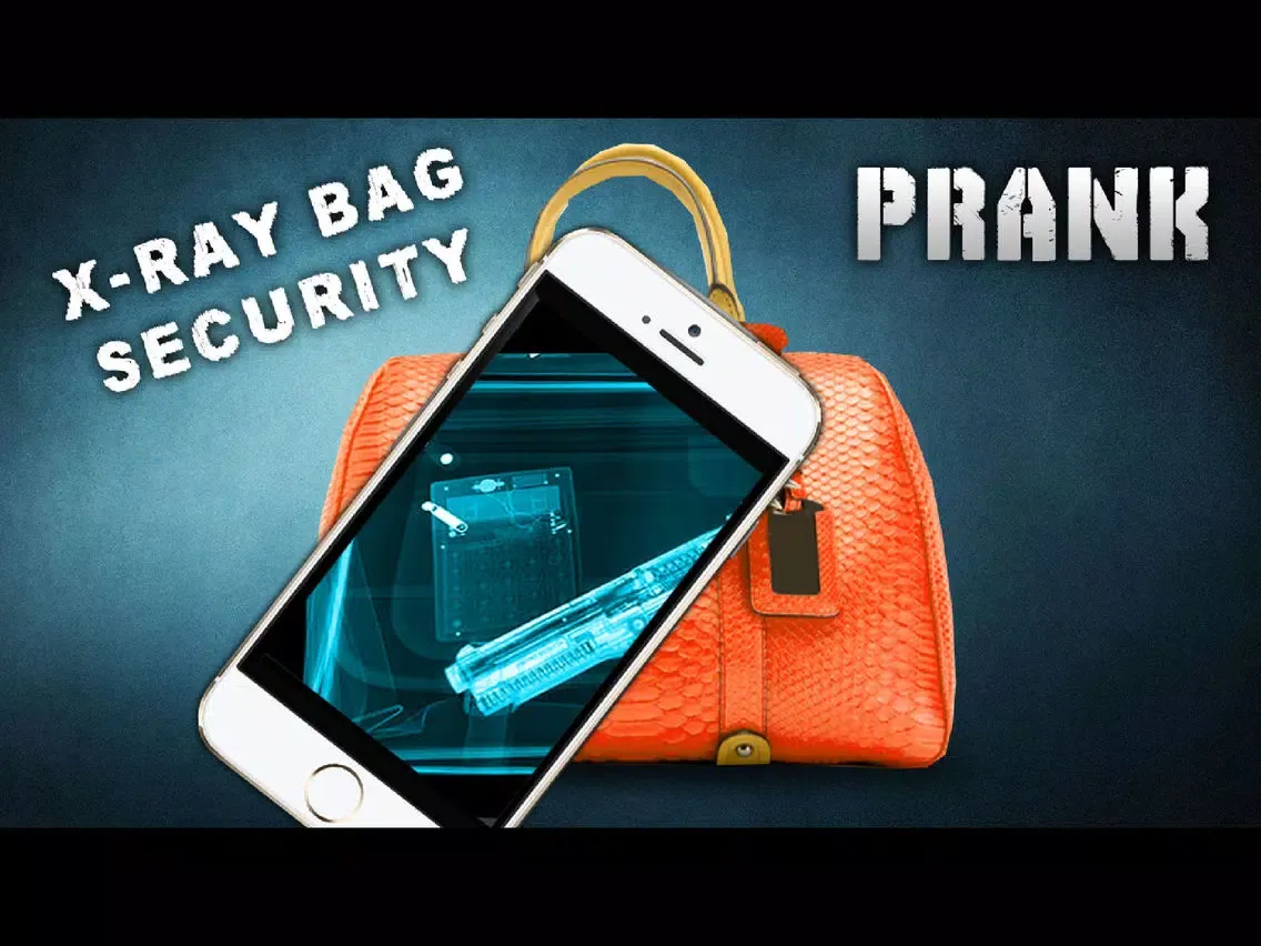 Simulator X-Ray Bag Security iPad 应用截图