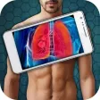 Simulator X-Ray Lungs Check Simulator X-Ray Lungs Check