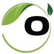 Ocha LLC Ocha LLC