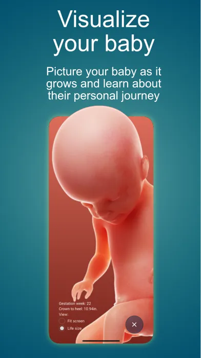 Zrzuty ekranu Modelo Health Pregnancy