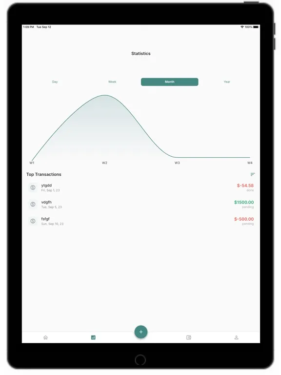 Financy App iPad  Screenshots