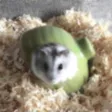 Hamster Slider Puzzle
