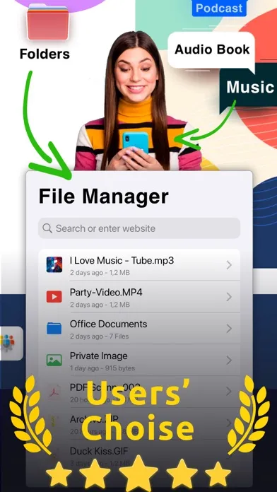 ภาพหน้าจอของ Browser NG Offline Files