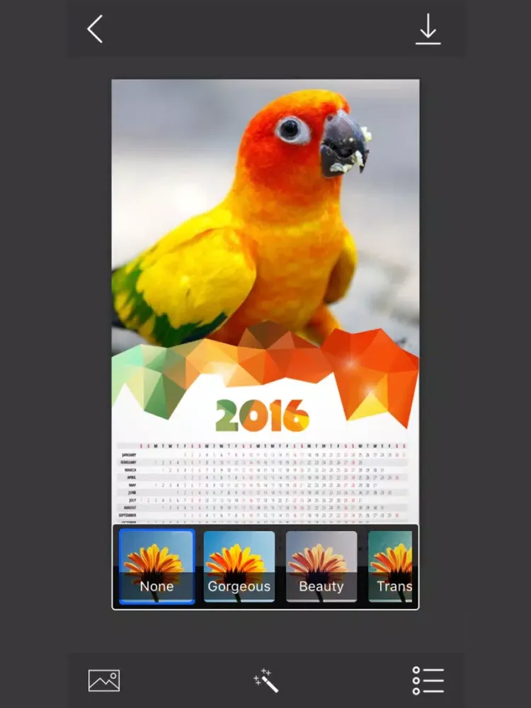 Скриншоты Calendar Photo Frames - make eligant and awesome photo using new photo frames iPad 