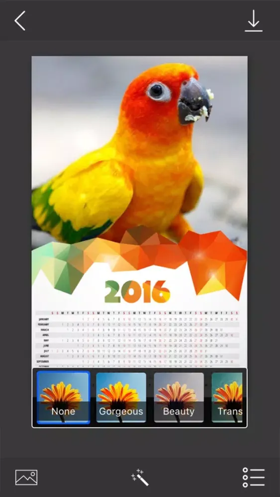 Скриншоты Calendar Photo Frames - make eligant and awesome photo using new photo frames