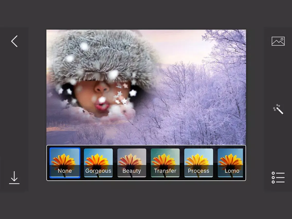 Screenshot di Snowfall Photo Frames - make eligant and awesome photo using new photo frames iPad