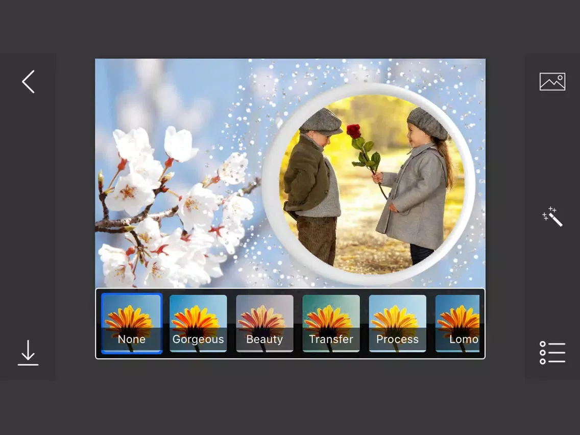 Spring Photo Frames - make eligant and awesome photo using new photo frames iPad  Screenshots