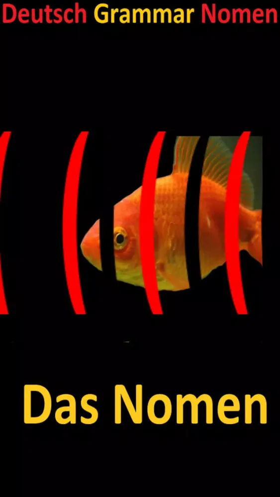 صور Deutsch Grammar Nomen