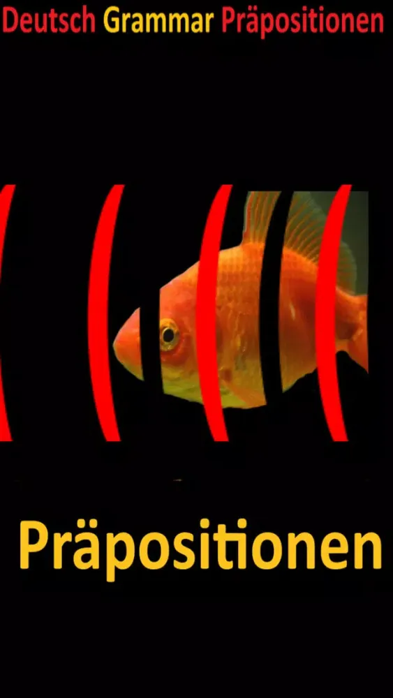ภาพหน้าจอของ Deutsch Grammar Präpositionen