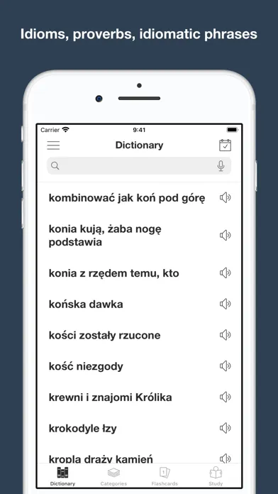 Tangkapan layar Polish Idioms and Proverbs