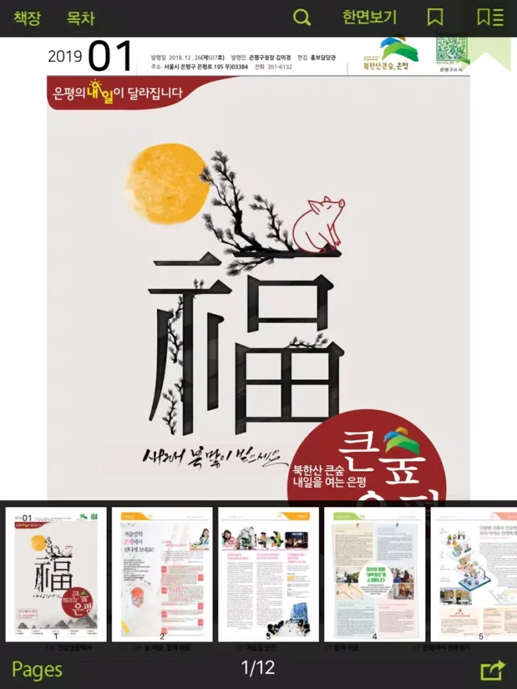 Captures d'écran de 은평구소식 iPad 
