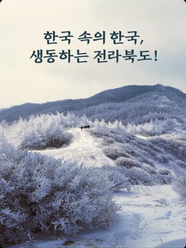 전라BOOK도 iPad 应用截图